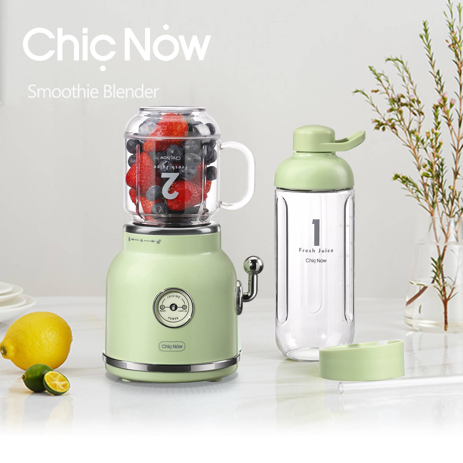 Personal Blender for Shakes & Smoothies