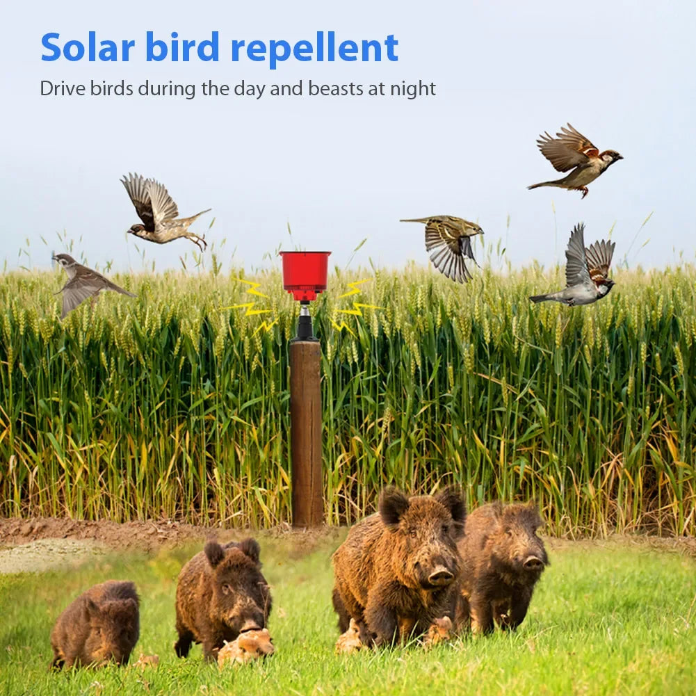 Solar Animal Bird Repeller Outdoor Light
