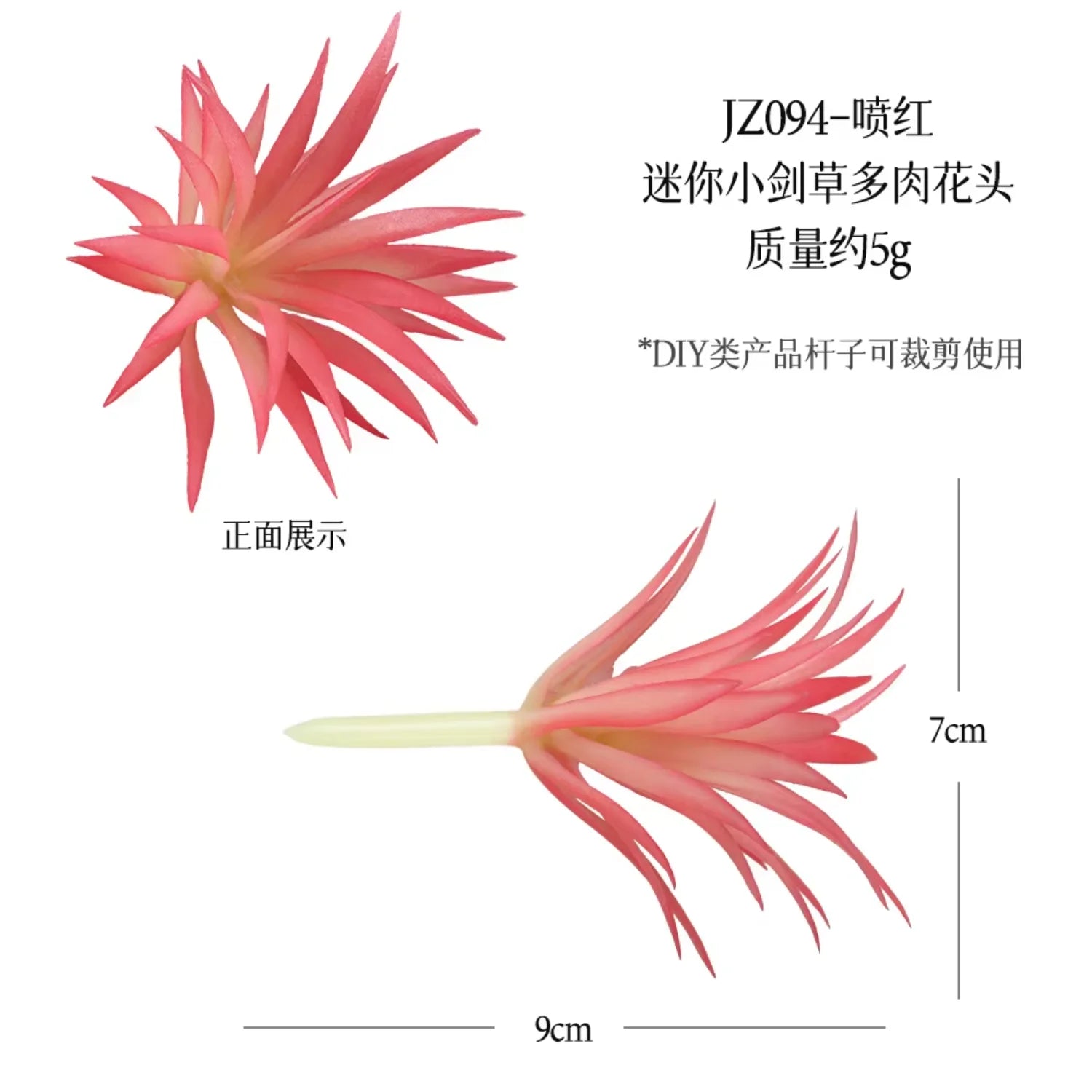 Small Real Touch Bonsai Succulent Decor