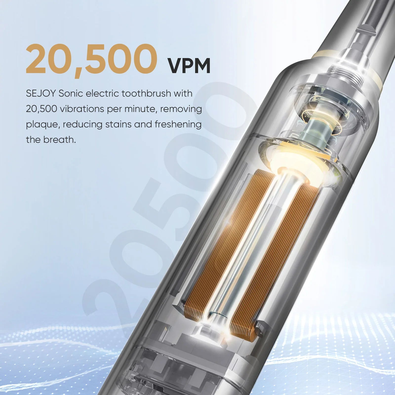 SEJOY Sonic Rechargeable Toothbrush