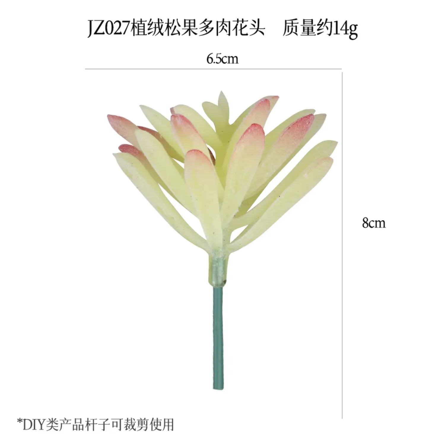 Small Real Touch Bonsai Succulent Decor