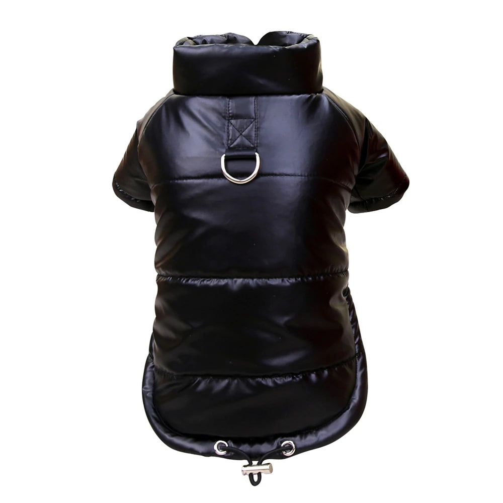 Glänzender Wintermantel für kleine Hunde