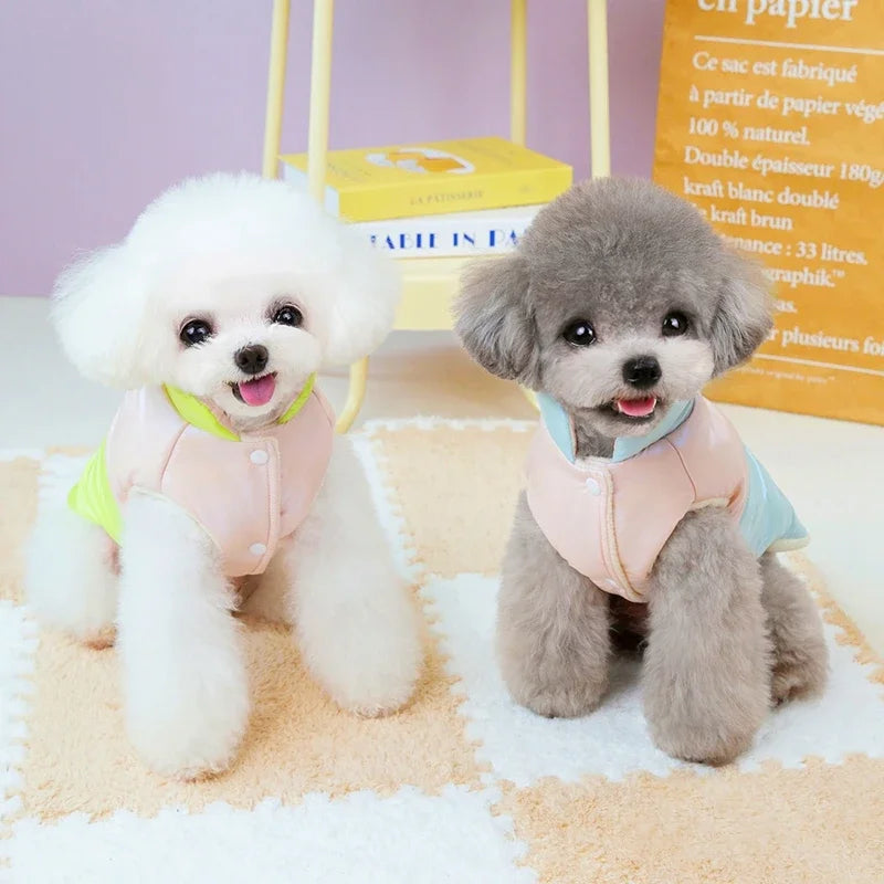 Winter Pet Jacket with Leash Ring