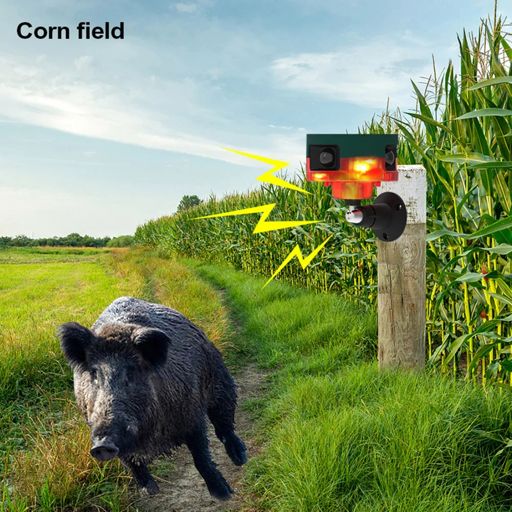 Solar-Vogelabwehr mit Blitzlicht