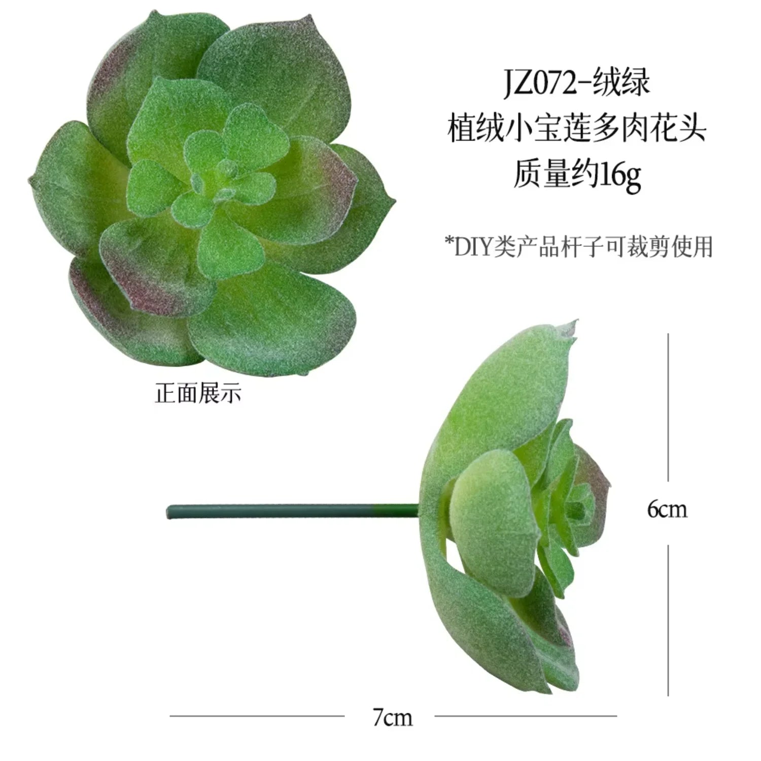 Small Real Touch Bonsai Succulent Decor