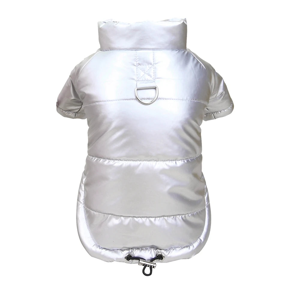 Glossy Winter Coat for Small Dogs