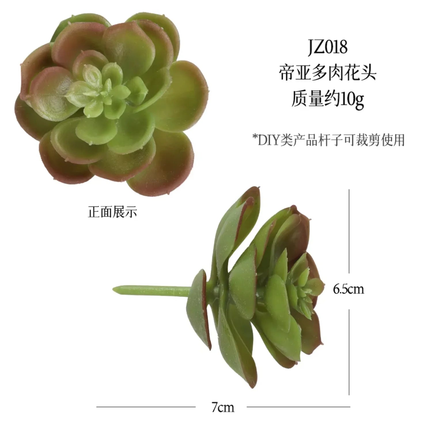 Small Real Touch Bonsai Succulent Decor