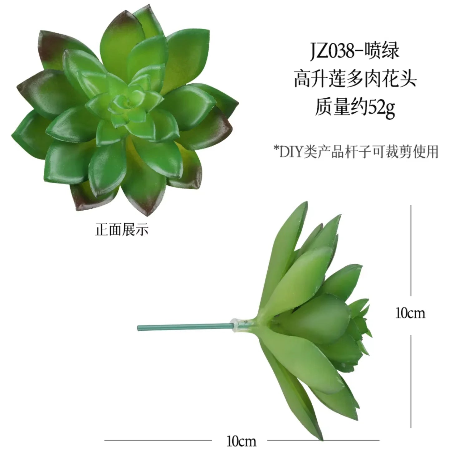 Small Real Touch Bonsai Succulent Decor