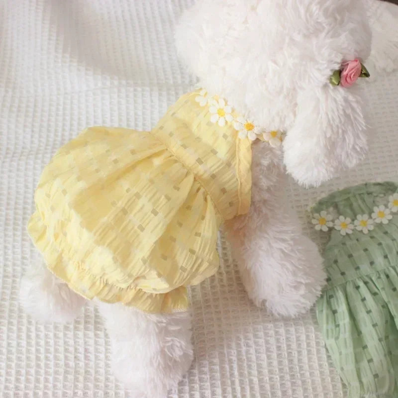 Daisy Summer Dress for Small Dogs