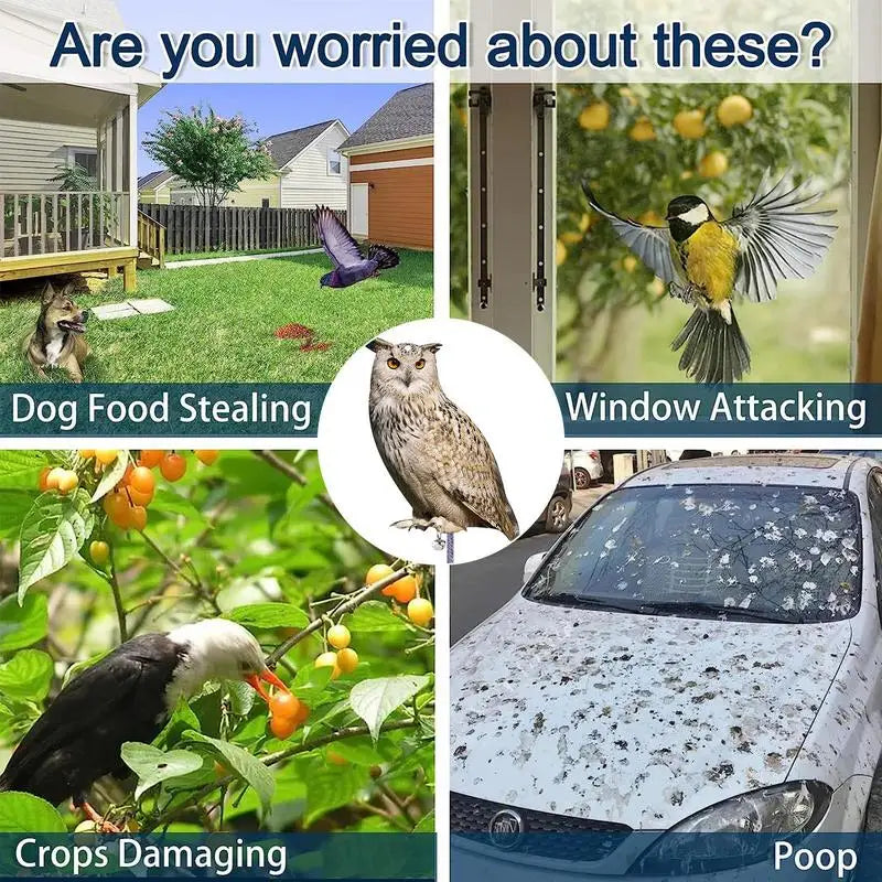 Acrylic Owl Bird Scarer Reflective Decor