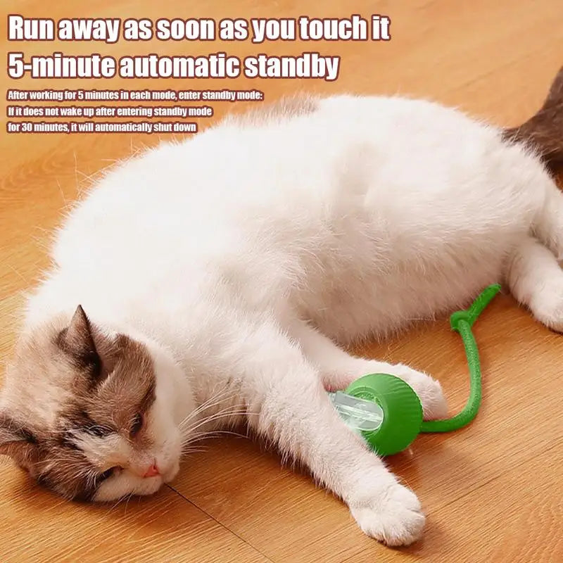 Electric Smart Rolling Cat Ball Toy