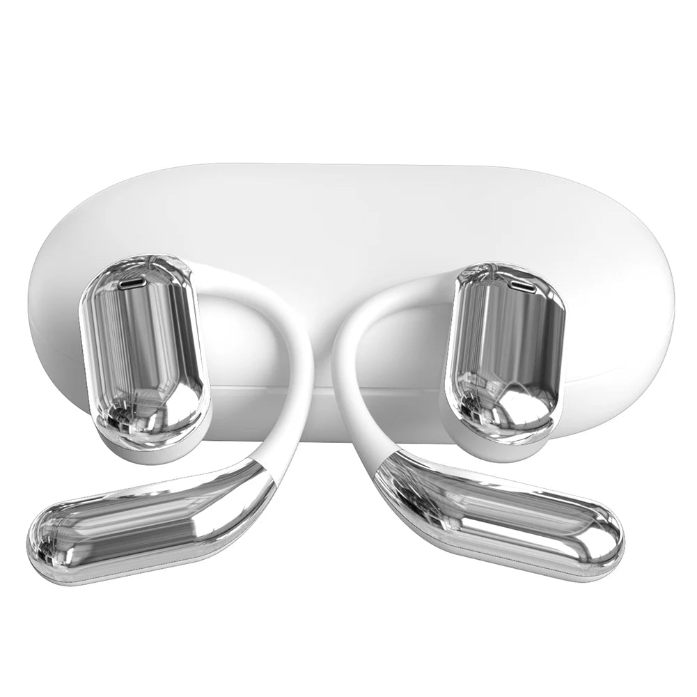 Wireless AI Translation Earbuds