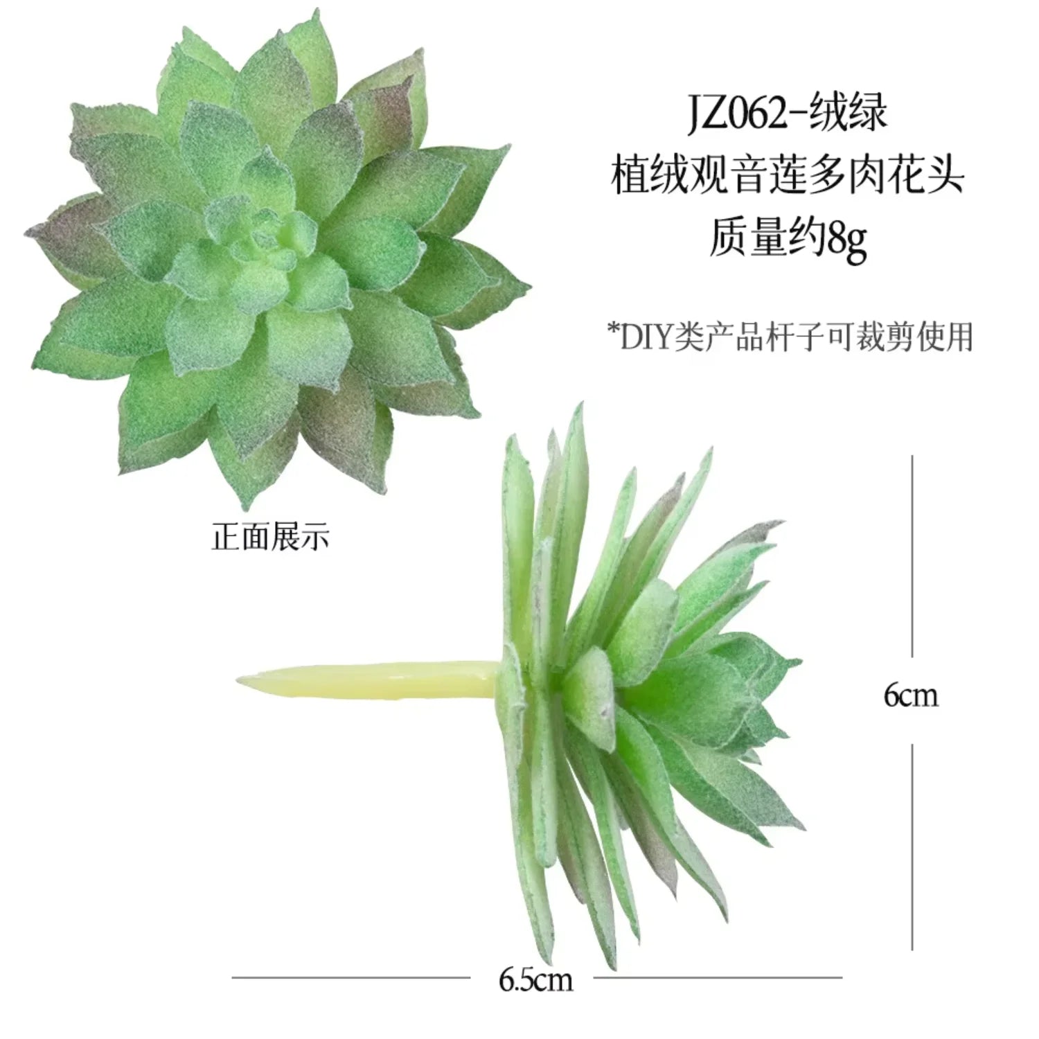 Small Real Touch Bonsai Succulent Decor