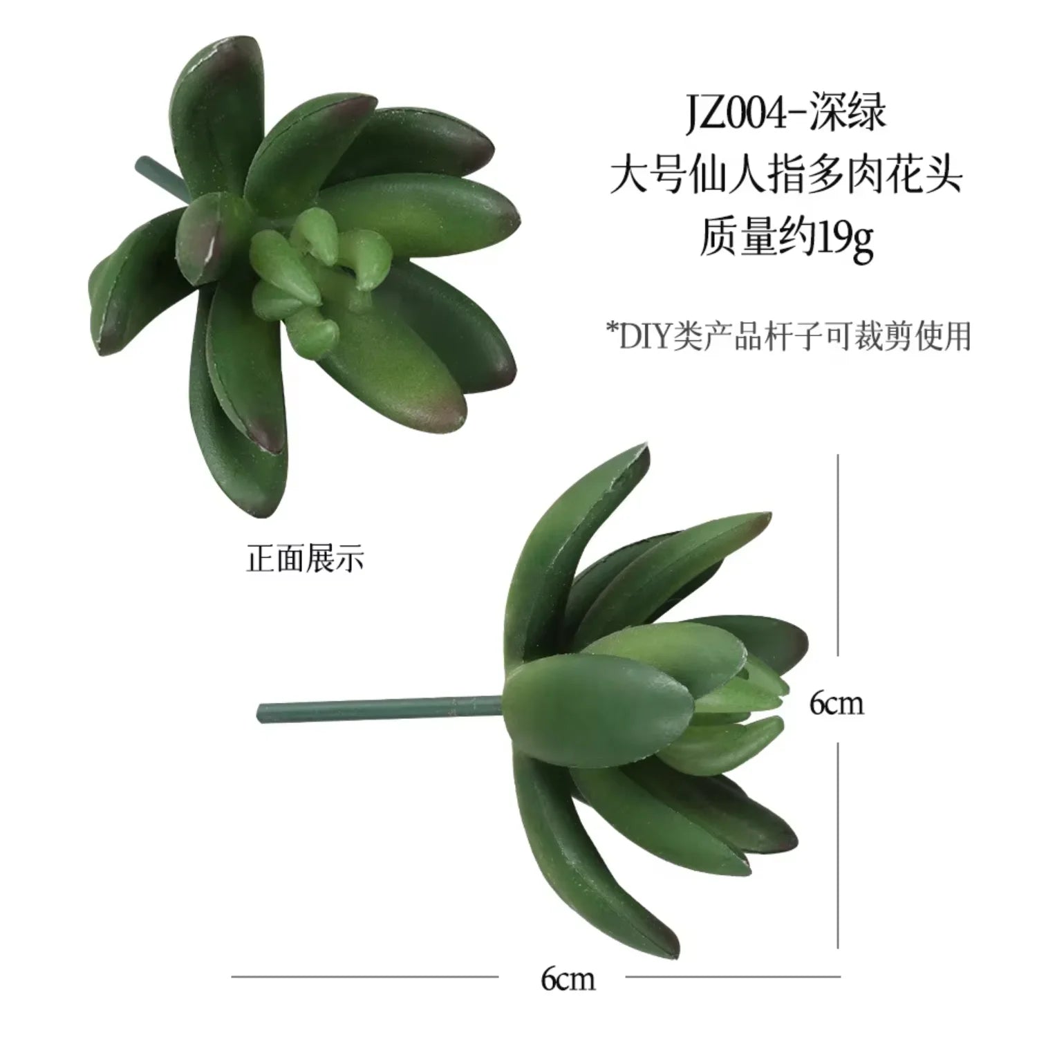 Small Real Touch Bonsai Succulent Decor