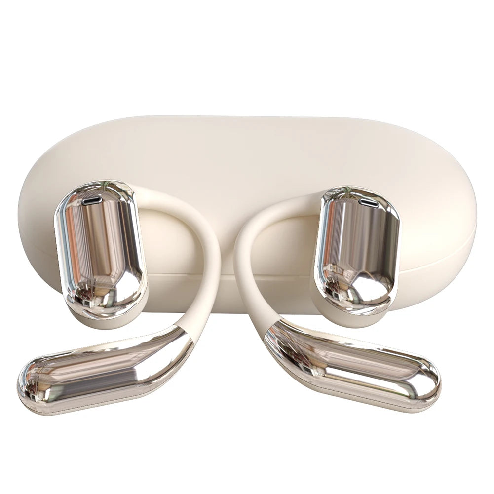 Wireless AI Translation Earbuds