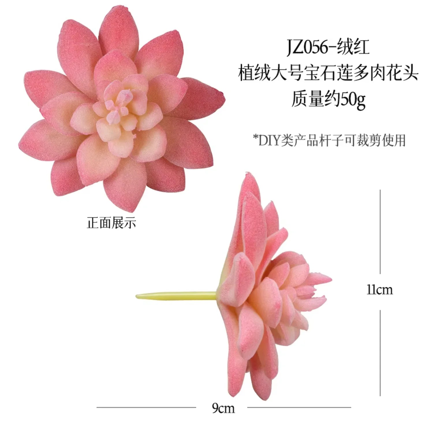 Small Real Touch Bonsai Succulent Decor