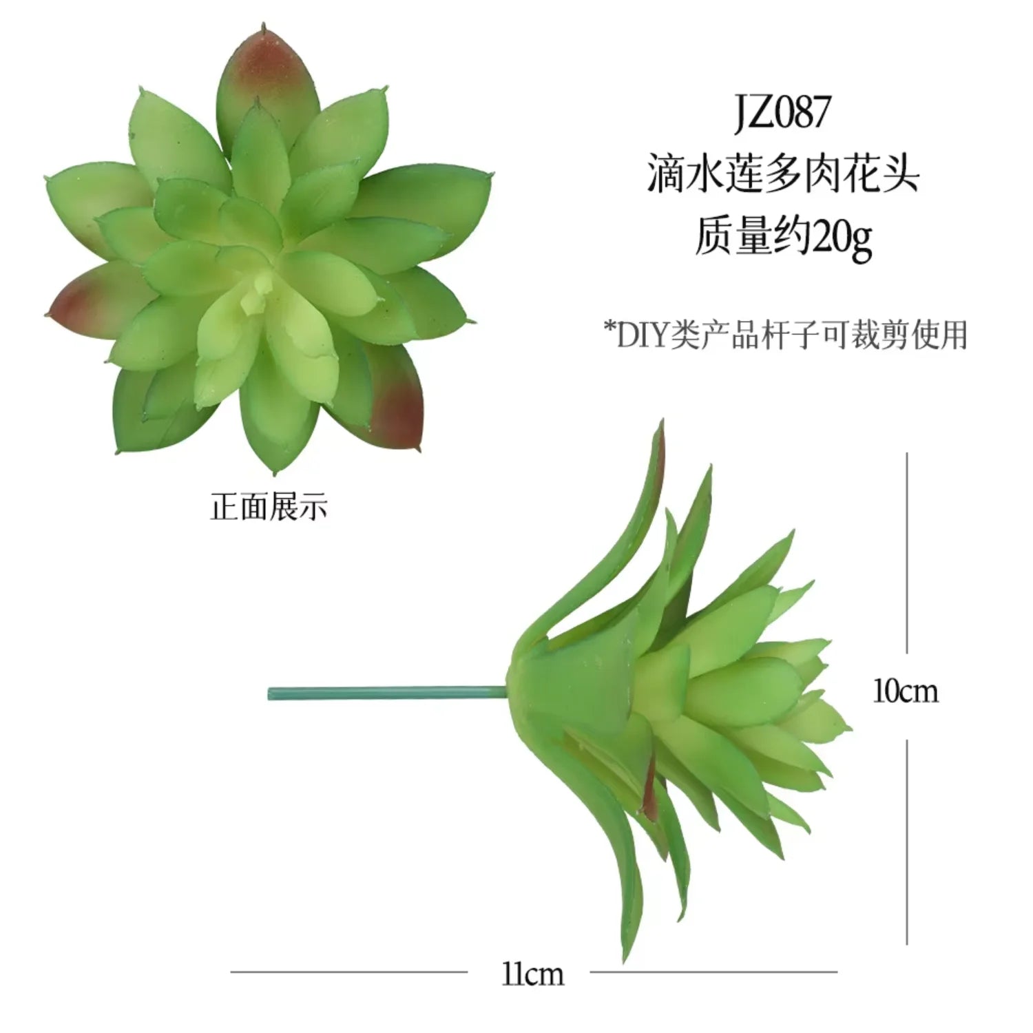 Small Real Touch Bonsai Succulent Decor