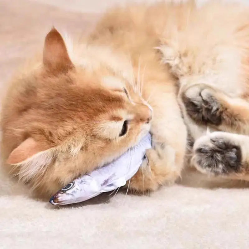 Elektrisches Floppy-Fischspielzeug für Katzen