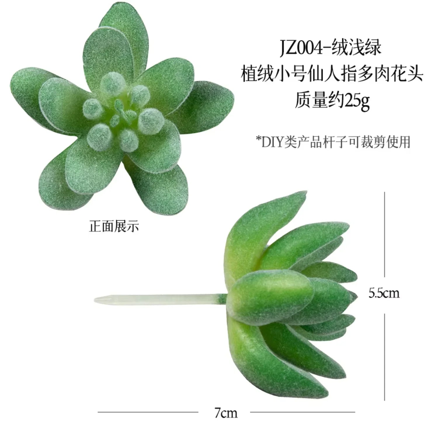 Small Real Touch Bonsai Succulent Decor