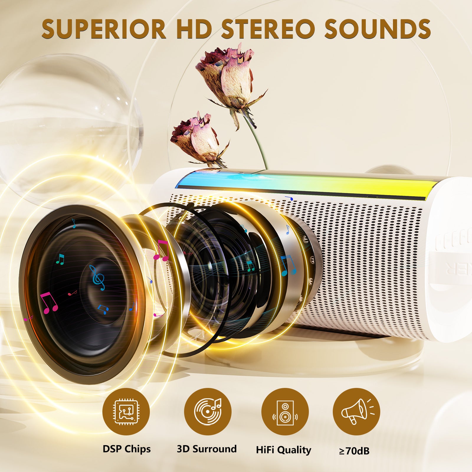 JYX D31-T Karaoke Machine with 2 Mics