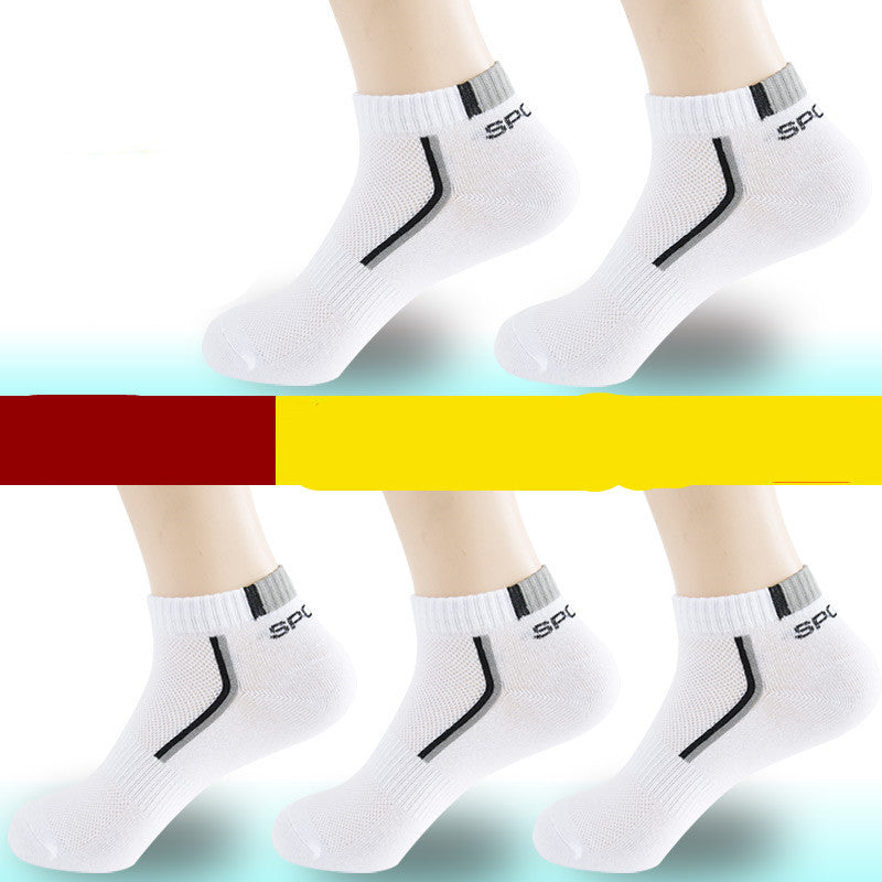 Chaussettes en coton pour hommes – Toutes saisons