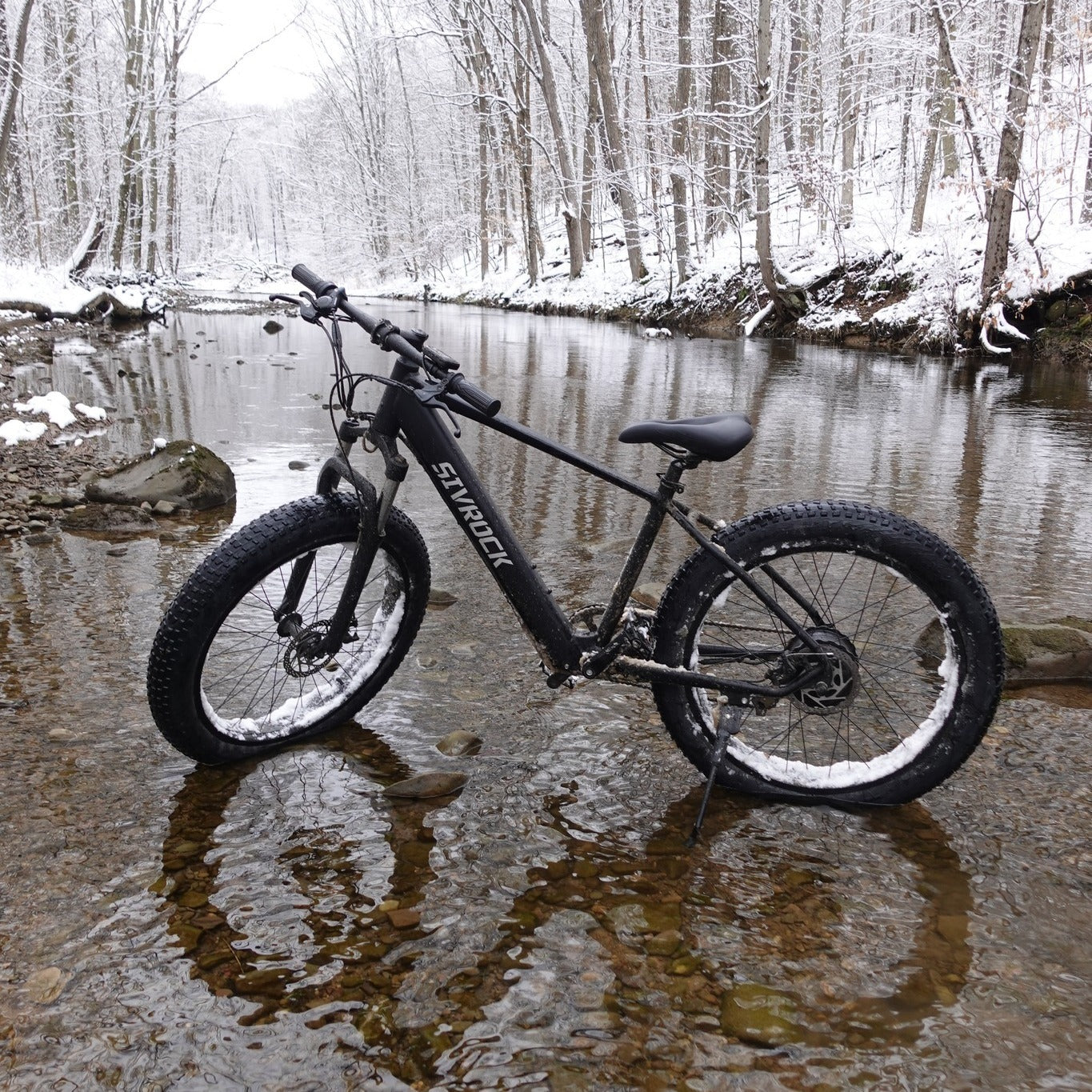 E-Mountainbike 1000W 26x4.0 Reifen 