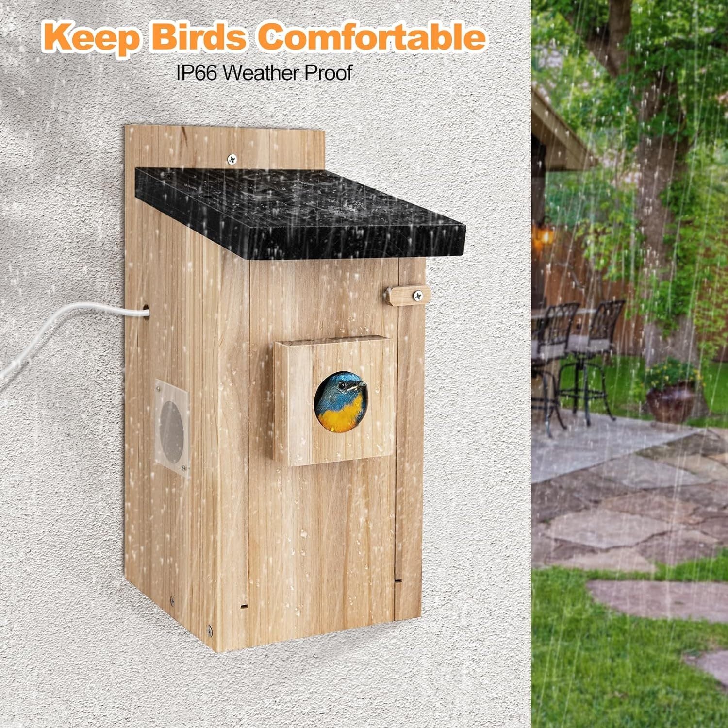 Intelligente Vogelhauskamera mit 3MP-Video