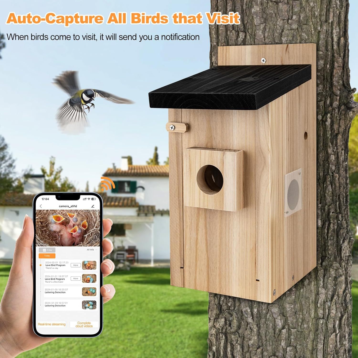 Intelligente Vogelhauskamera mit 3MP-Video