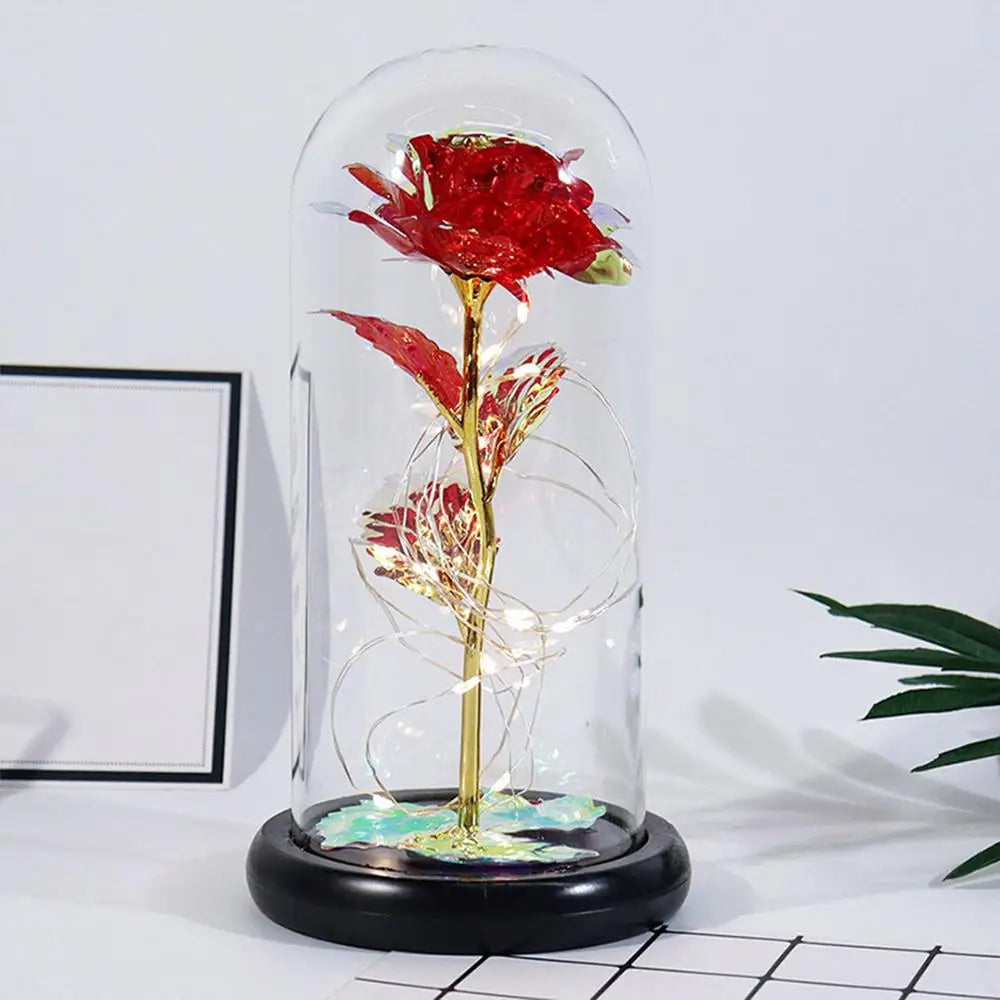 Valentine’s Eternal Rose LED Dome Gift