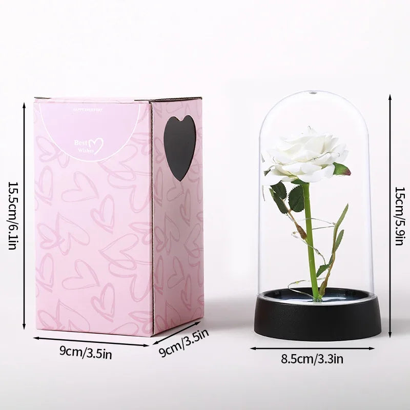 Eternal Rose in Glass with LED Light