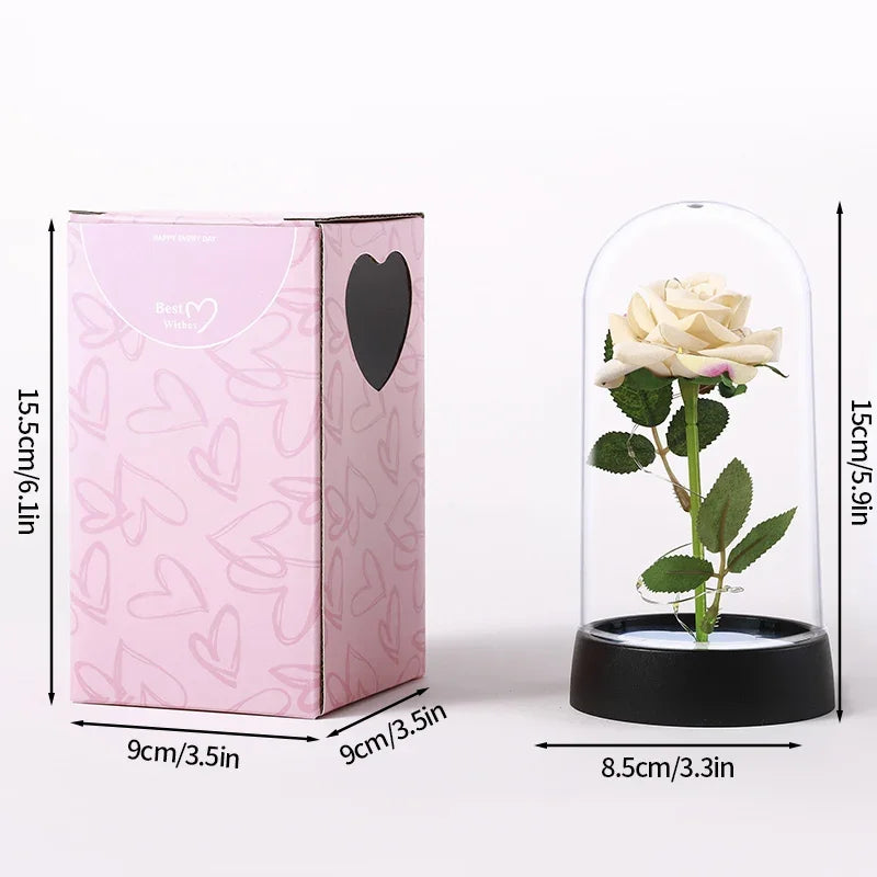 Eternal Rose in Glass with LED Light