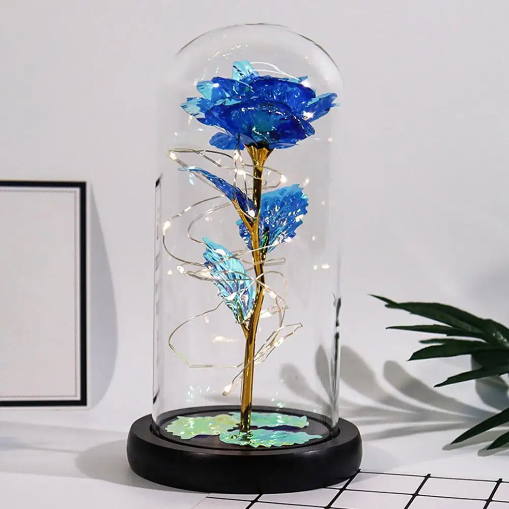Valentine’s Eternal Rose LED Dome Gift