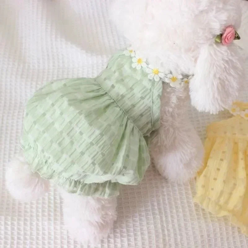 Daisy Sommerkleid für kleine Hunde