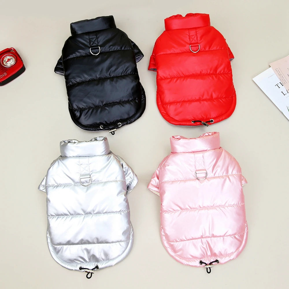 Glossy Winter Coat for Small Dogs