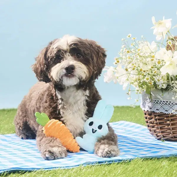 Osterkarotten-Hund-Plüschtierset - 2-teilig