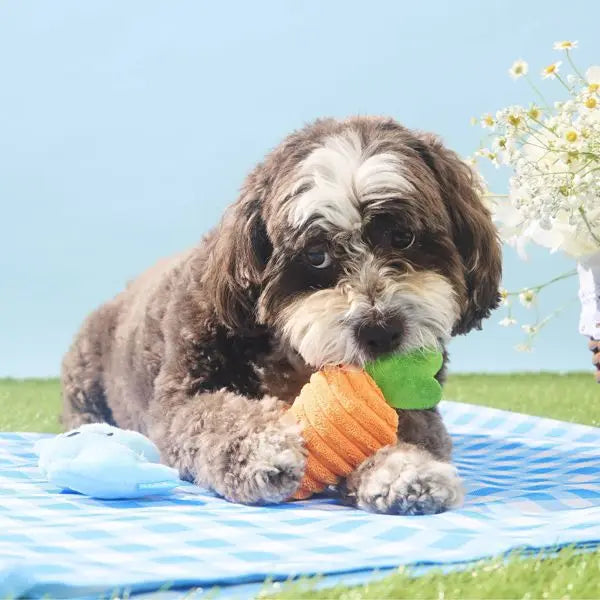 Osterkarotten-Hund-Plüschtierset - 2-teilig