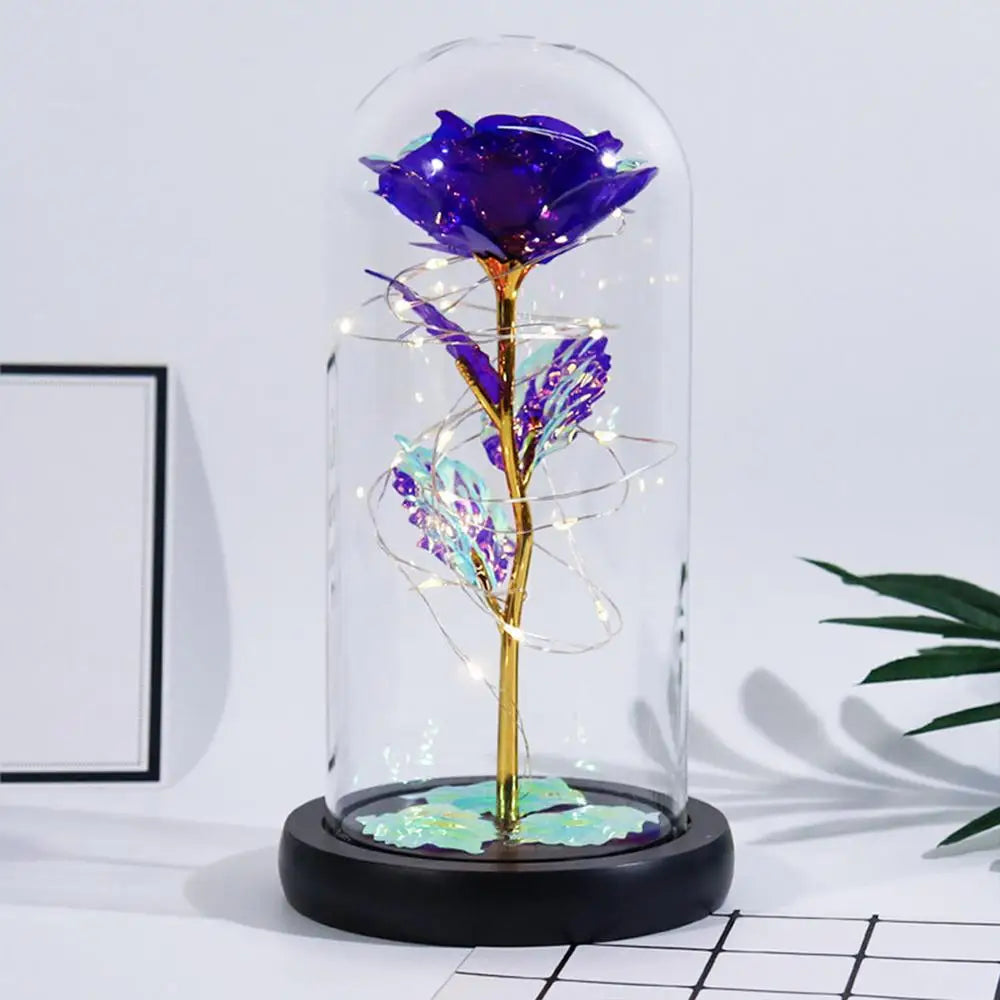 Valentine’s Eternal Rose LED Dome Gift