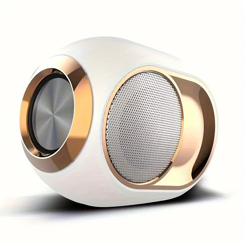 Portable TWS Waterproof Bluetooth Speaker