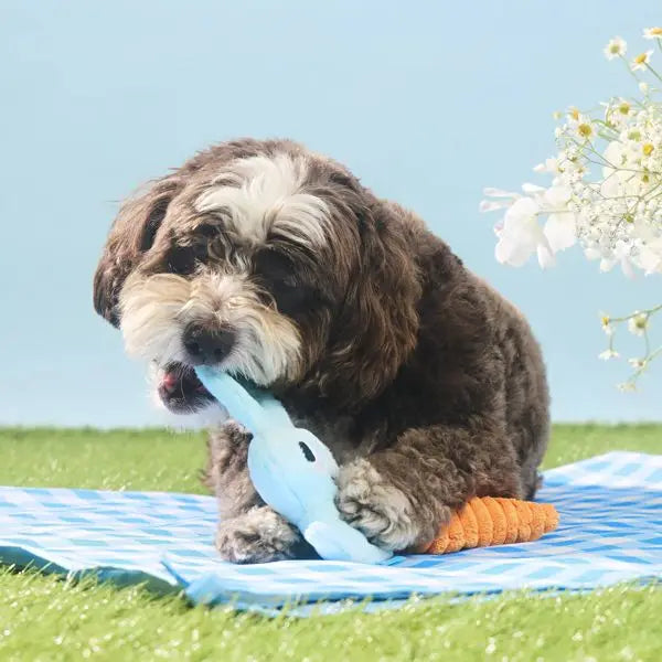 Osterkarotten-Hund-Plüschtierset - 2-teilig