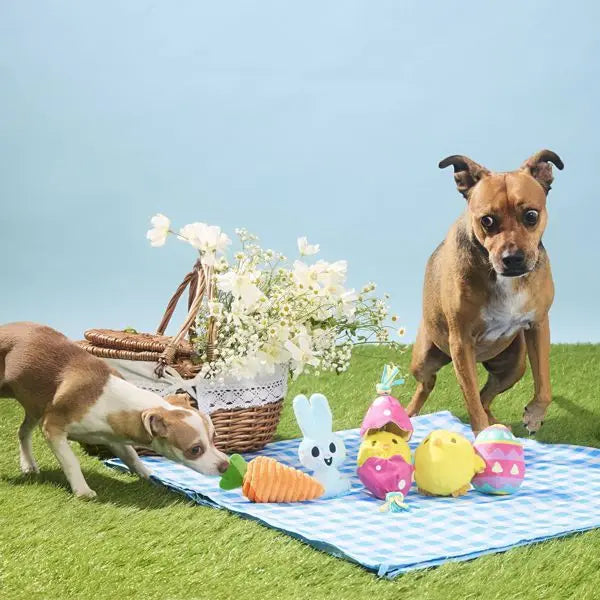 Osterkarotten-Hund-Plüschtierset - 2-teilig