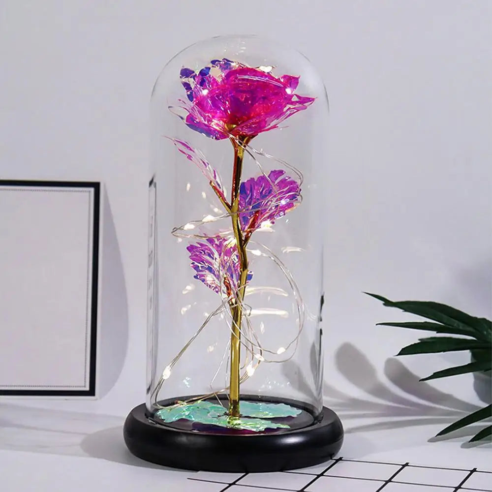 Valentine’s Eternal Rose LED Dome Gift