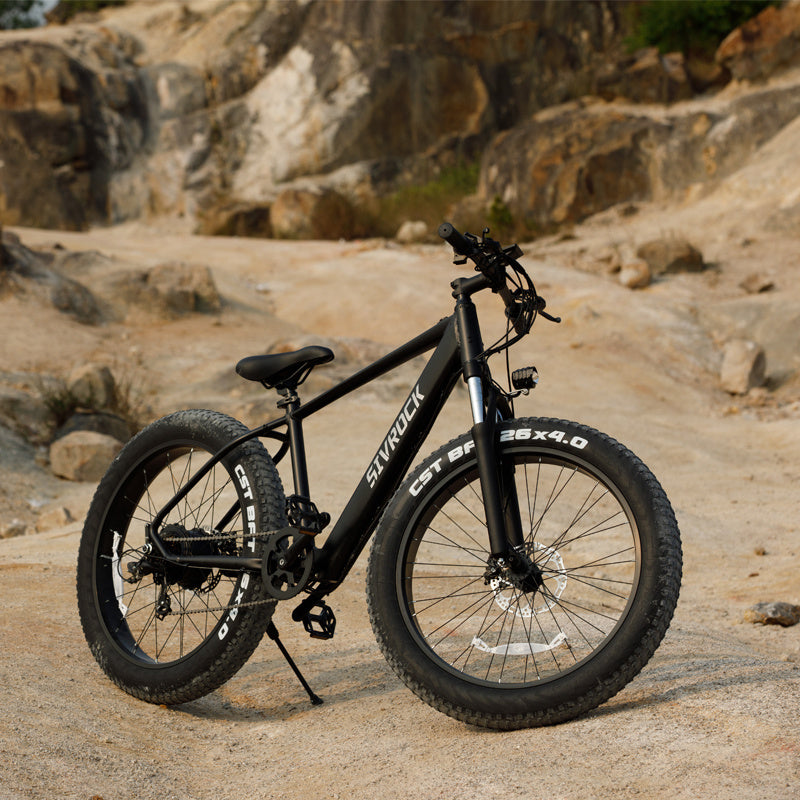 E-Mountainbike 1000W 26x4.0 Reifen 