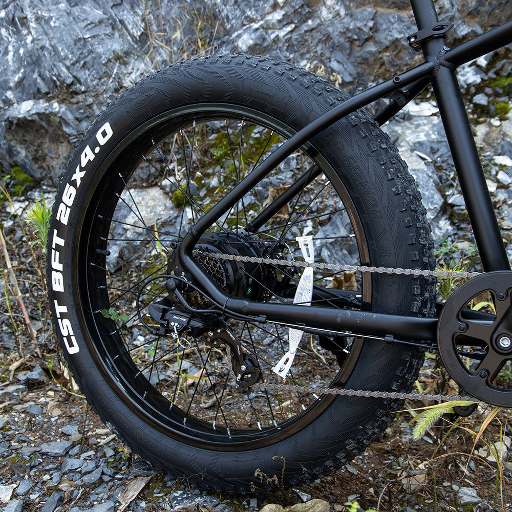 E-Mountainbike 1000W 26x4.0 Reifen 
